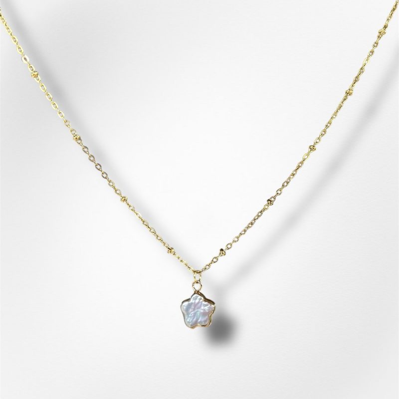 photoroom_20251208_143604-2