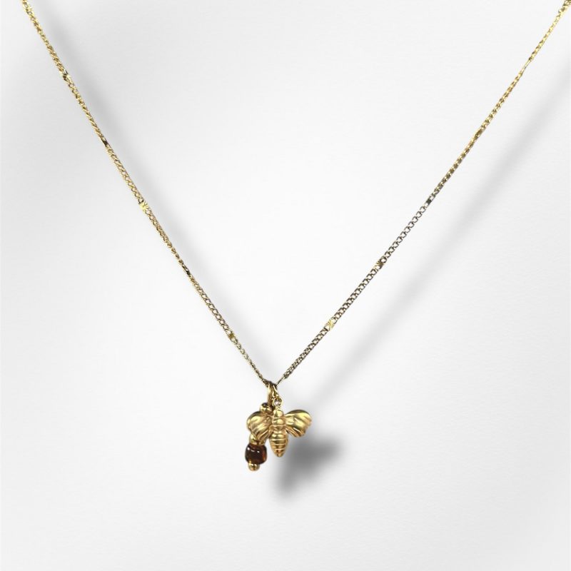 photoroom_20251208_143752-2